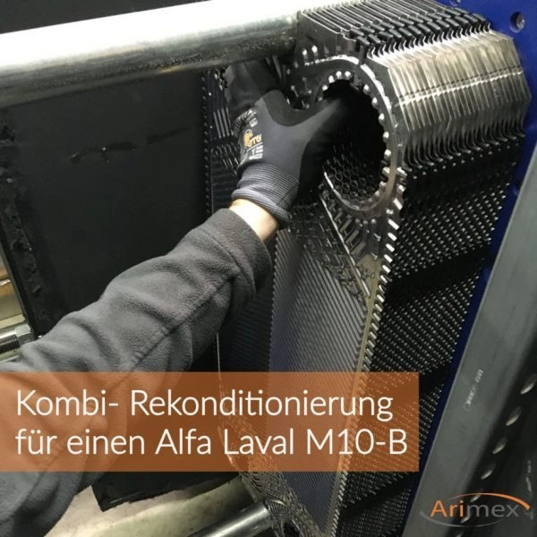 Vor Ort Rekonditionierung Alfa Laval M10-B
