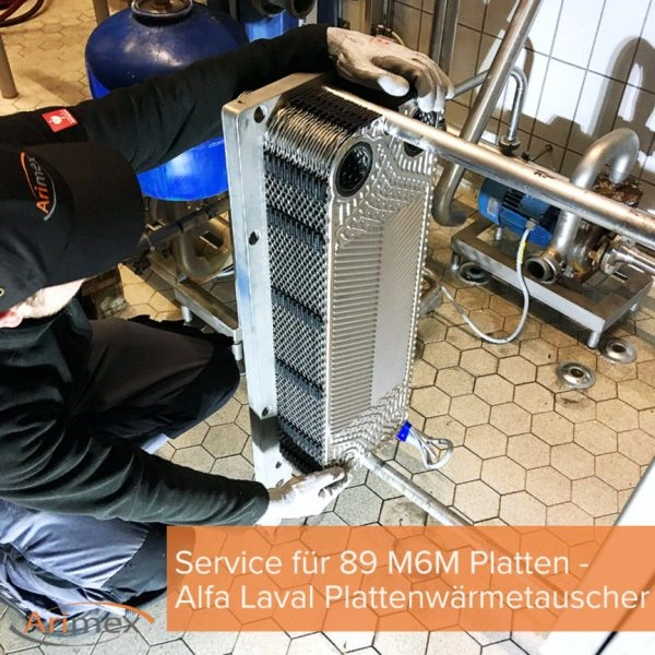 Service Alfa Laval M6M